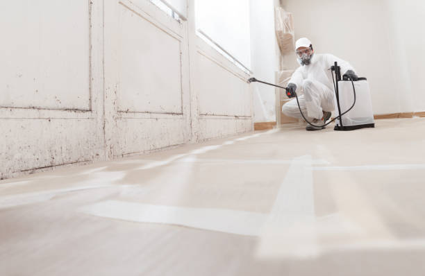 24/7 Emergency Basement Mold Remediation experts in Fountain, NC